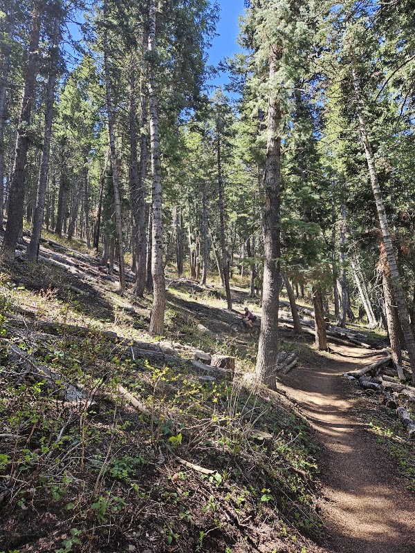 Summit Park Trailhead 1