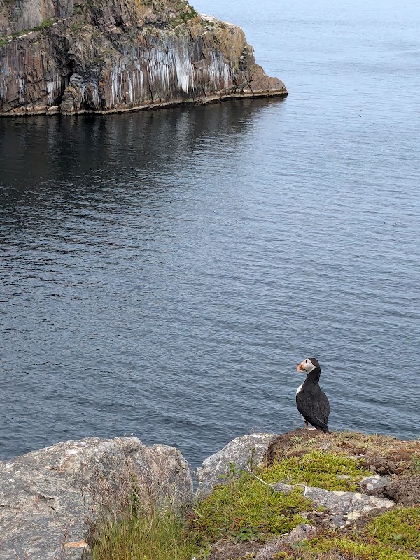 The Chimney, Spillars Cove - Discovery UNESCO Geosite 5