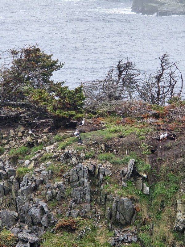 The Chimney, Spillars Cove - Discovery UNESCO Geosite 3