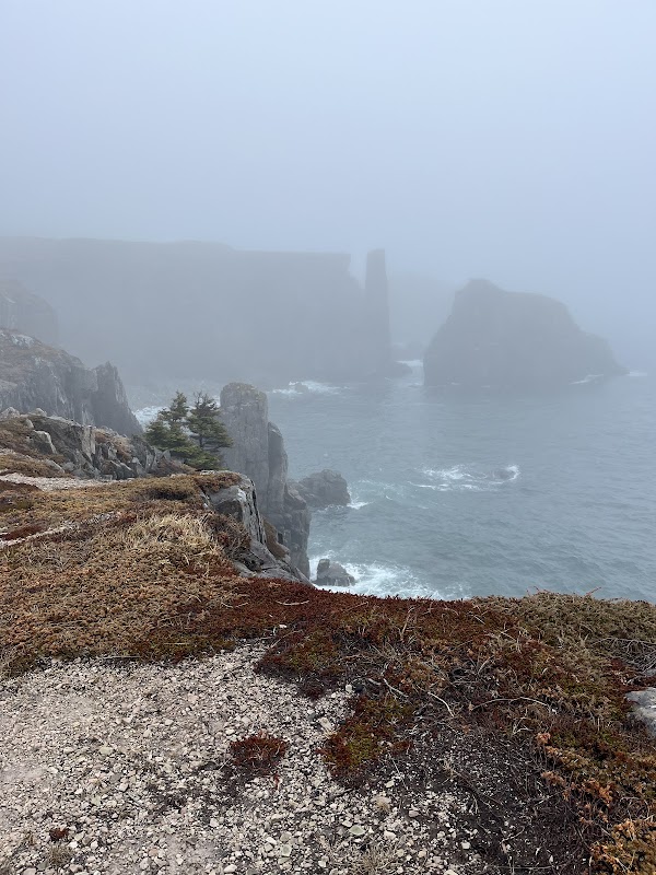 The Chimney, Spillars Cove - Discovery UNESCO Geosite 2