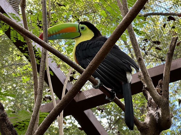Diamante Eco Adventure Park 5