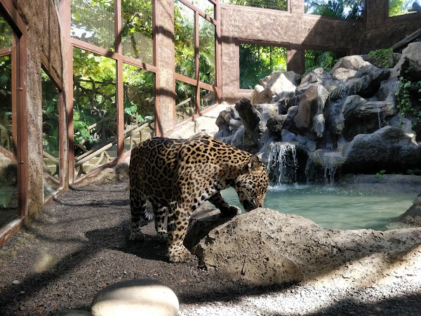 Diamante Eco Adventure Park 4