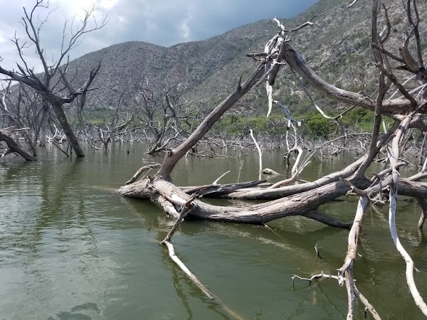 Lake Enriquillo 4