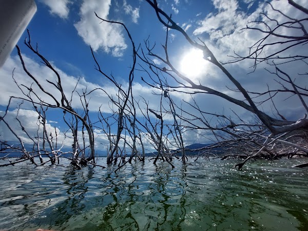 Lake Enriquillo 3