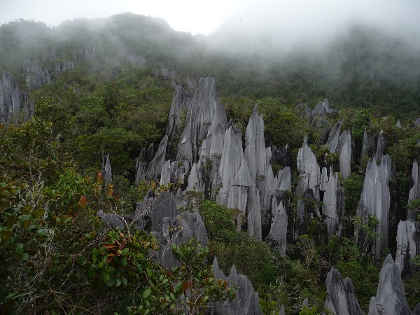 Mount Mulu