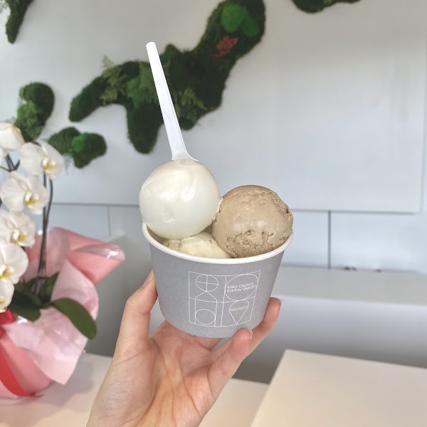 Eriko Osawa Earthly Gelato 2