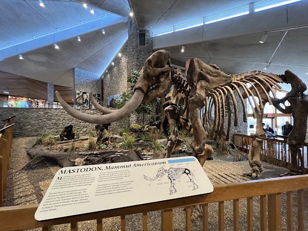 Mastodon State Historic Site 1
