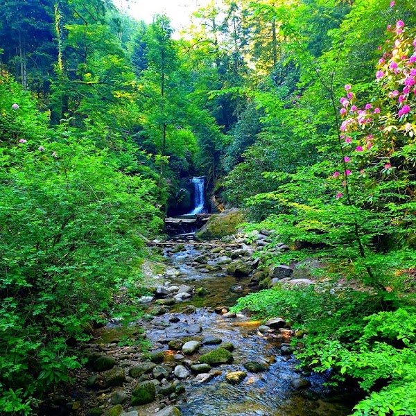 Geroldsauer Wasserfall 5