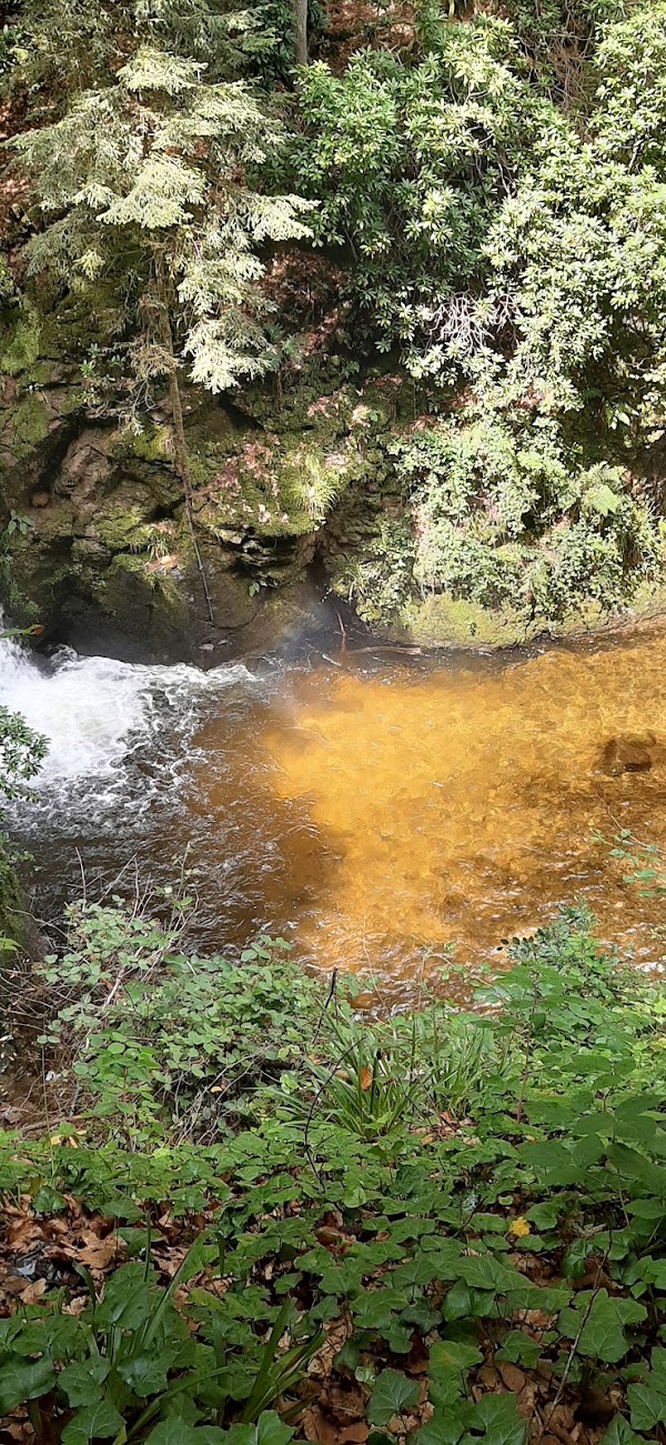 Geroldsauer Wasserfall 2