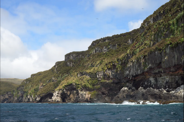 Campbell Island / Motu Ihupuku 3