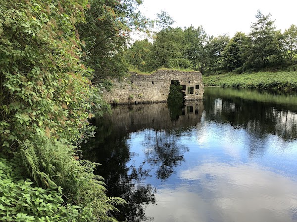 Thruscross Reservoir 1
