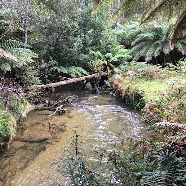 Junee Cave State Reserve 1