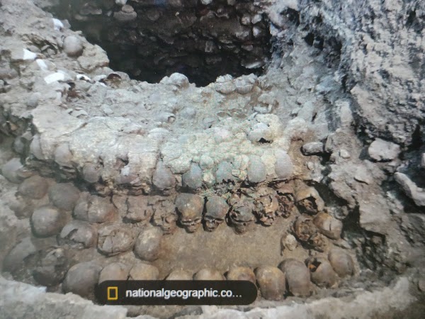 Huey Tzompantli de México Tenochtitlan 1