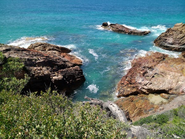 Mallacoota