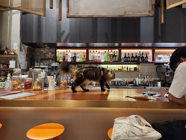 Slash Cafe Bar 2