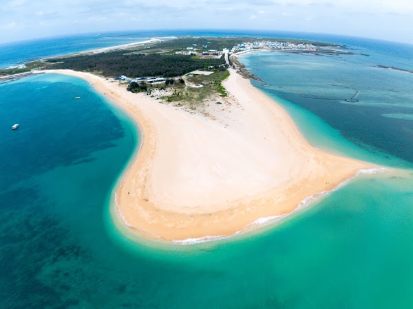 Jibei Sand Tail