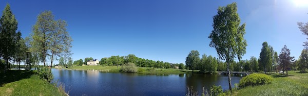 Hedströmmen