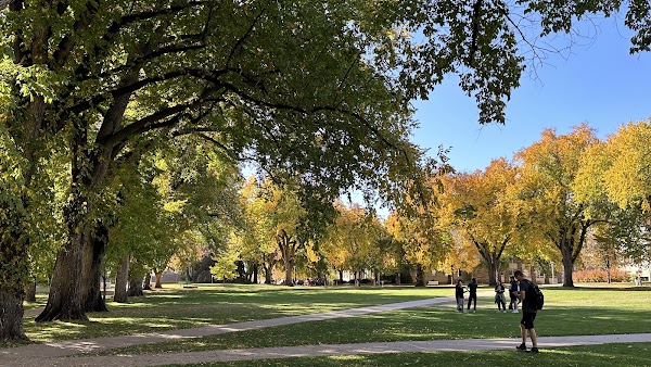 The Oval 1