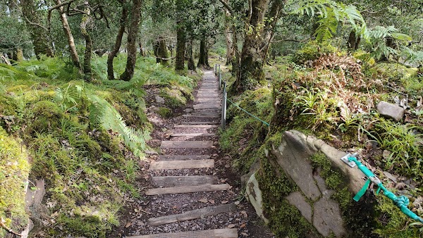 O'Sullivans Cascade 3