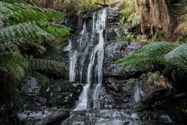 Cyathea Falls