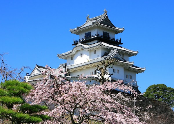 Kakegawa Castle 1