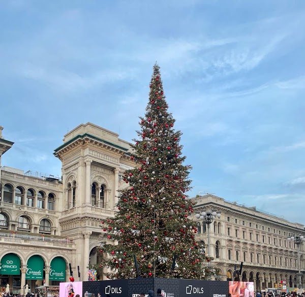 Piazza del Duomo 3