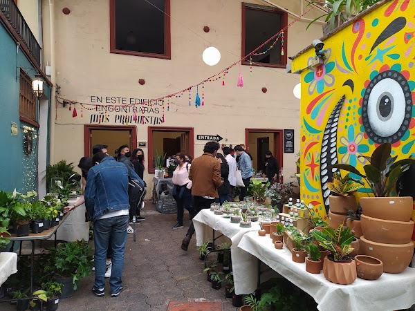 Bazar Fusion