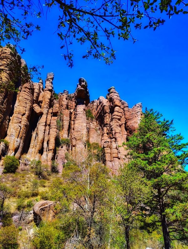 Rhyolite Canyon
