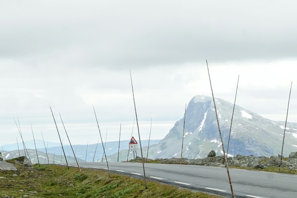 Primær Fylkesvei 51