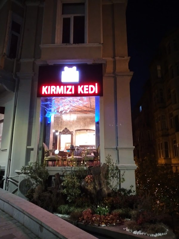 Kırmızı Kedi Pera