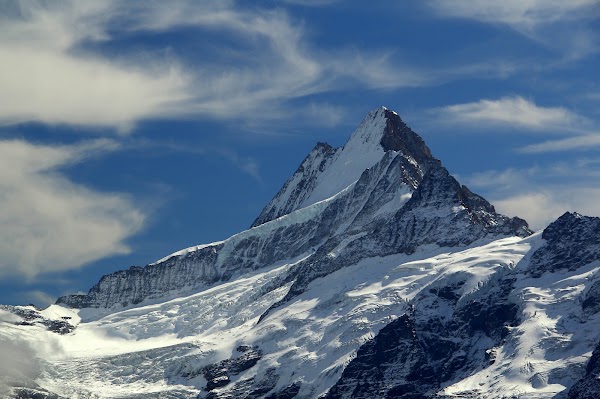 Schreckhorn 1