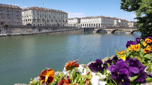 Turin 3