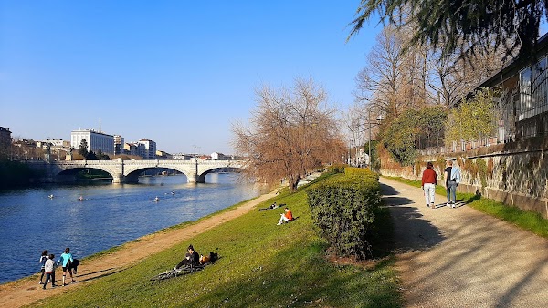 Turin 2