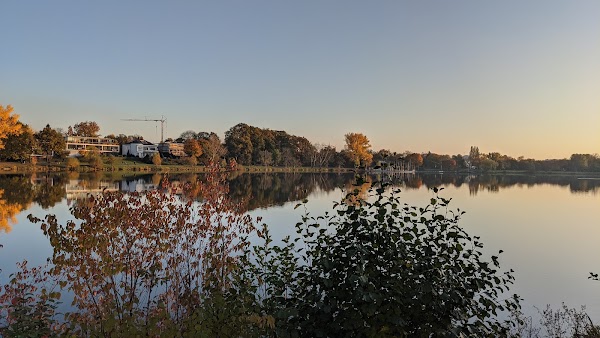 Münster 5