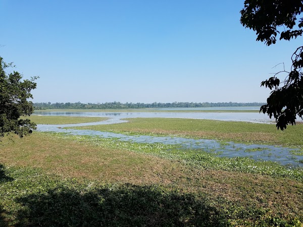 Kaziranga National Park 3