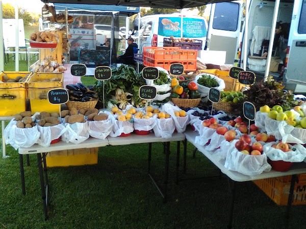 Freo Farmers Market 5