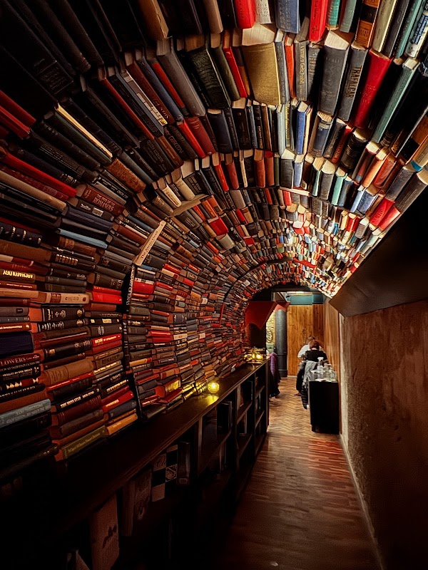The Last Bookstore 4