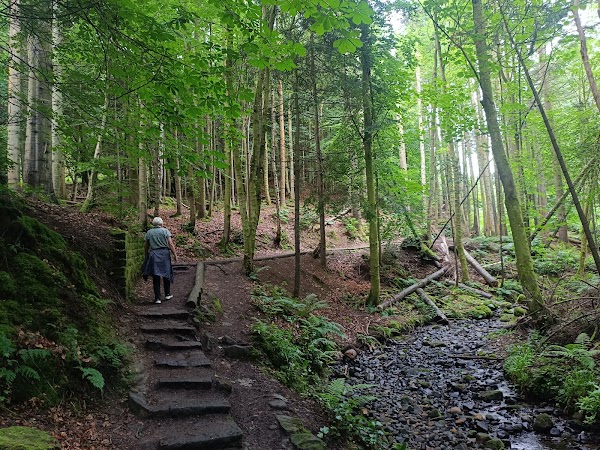 Maspie Den Walk & Waterfall