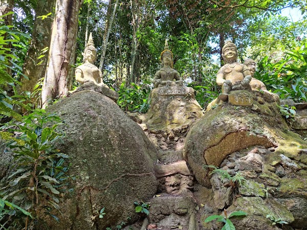 Tarnim Magic Garden 4