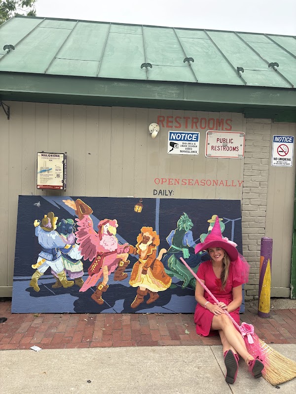 The Good Witch of Salem