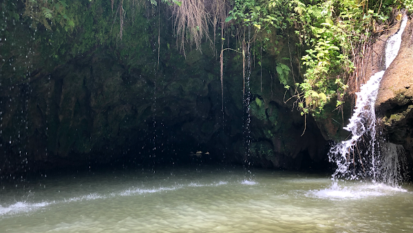Aventureo PR Tanama