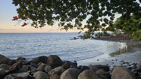 Visit Port Douglas & Daintree 1