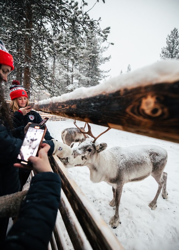 Lapland Winter Park Resort & Experiences 3