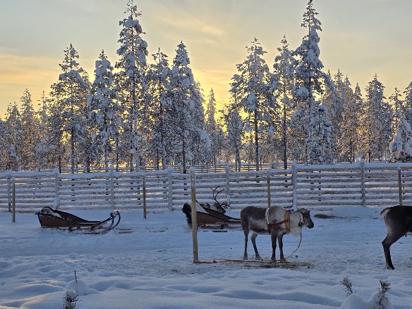 Lapland Winter Park Resort & Experiences 2