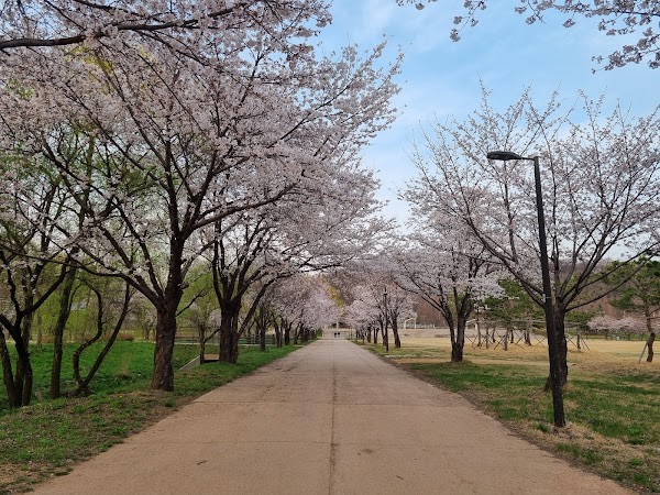 Nanji Hangang Park 5