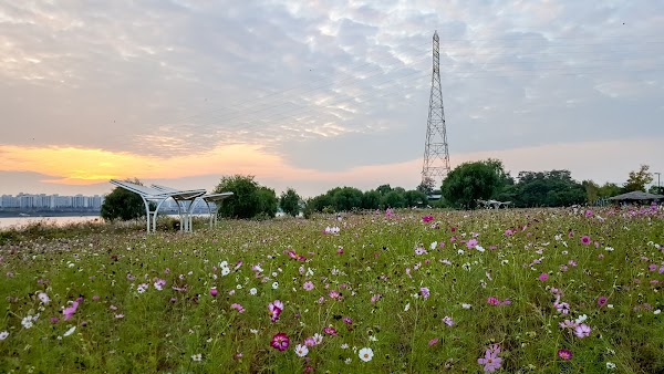 Nanji Hangang Park 4