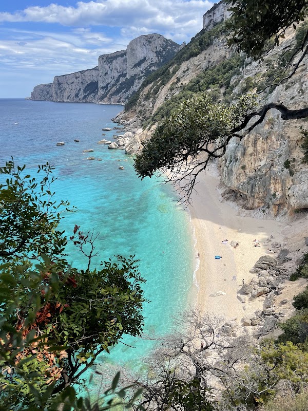Cala dei Gabbiani 3