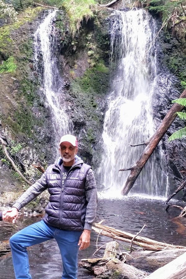 Hogarth Falls Track 1