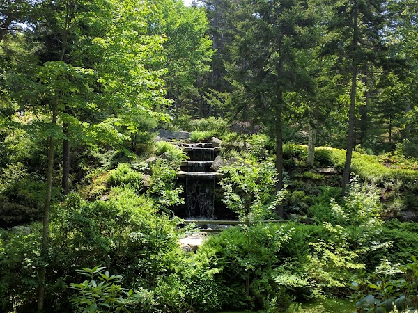 Botanical Gardens Drive 3