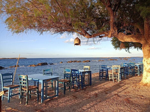 Tsalikis Seafood Restaurant 3